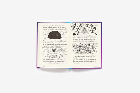 DIARY OF A WIMPY KID: THE MELTDOWN -KINNEY. JEFF CHILDRENS BOOKS